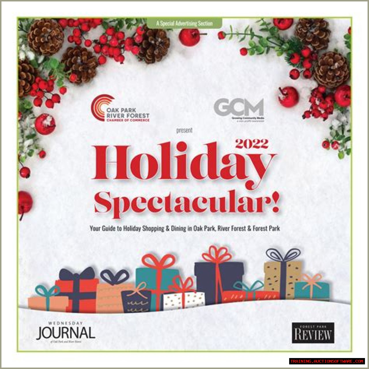 Understanding Jackerman: A Deep Dive Into The Life And Career